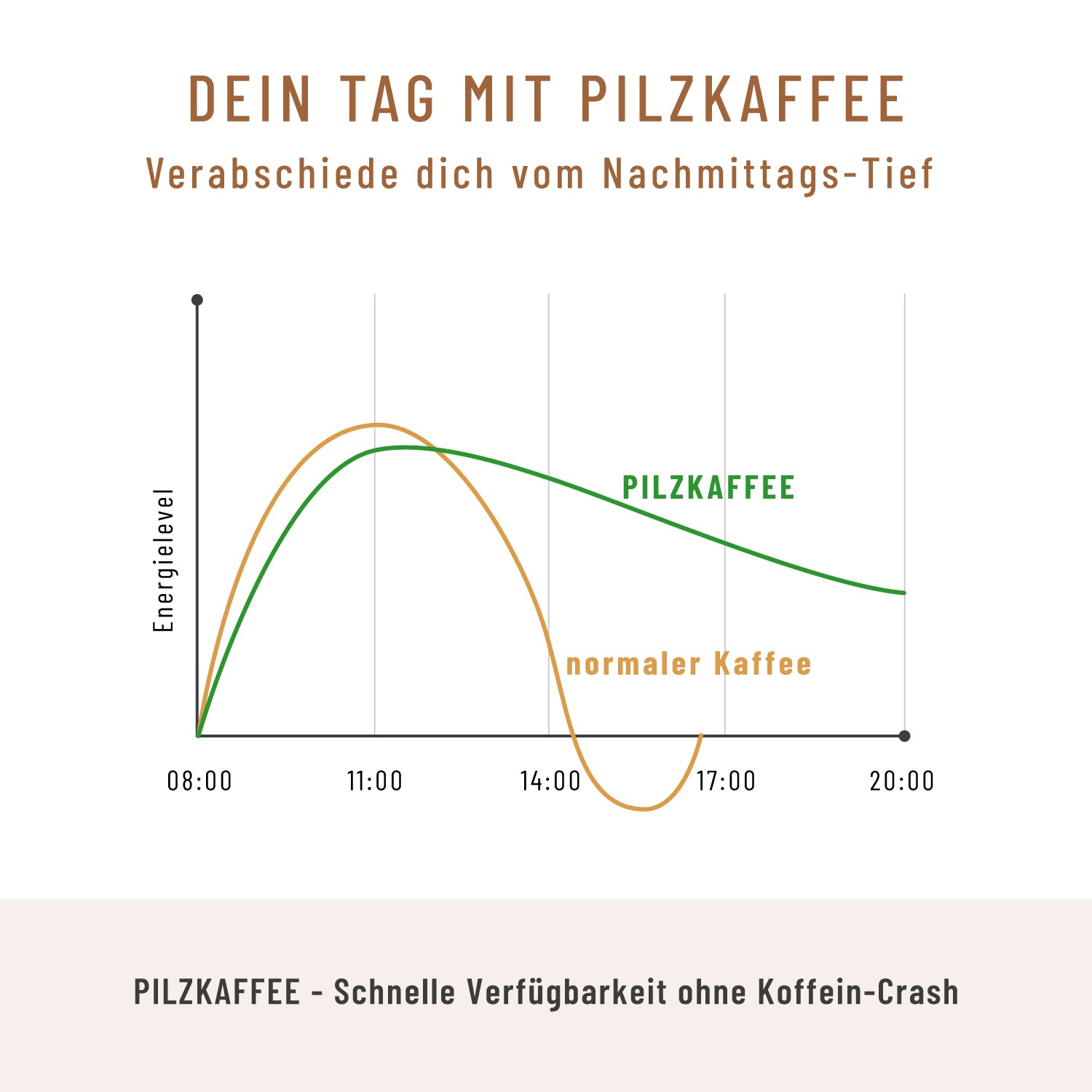 Pilzkaffee Kaffeegetraenkepulver Unterschied