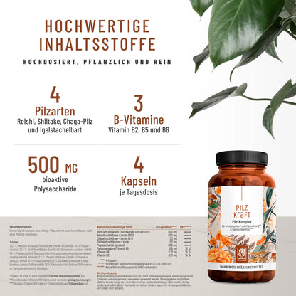 Pilzkraft Pilz-Komplex Hochwertige Inhaltsstoffe