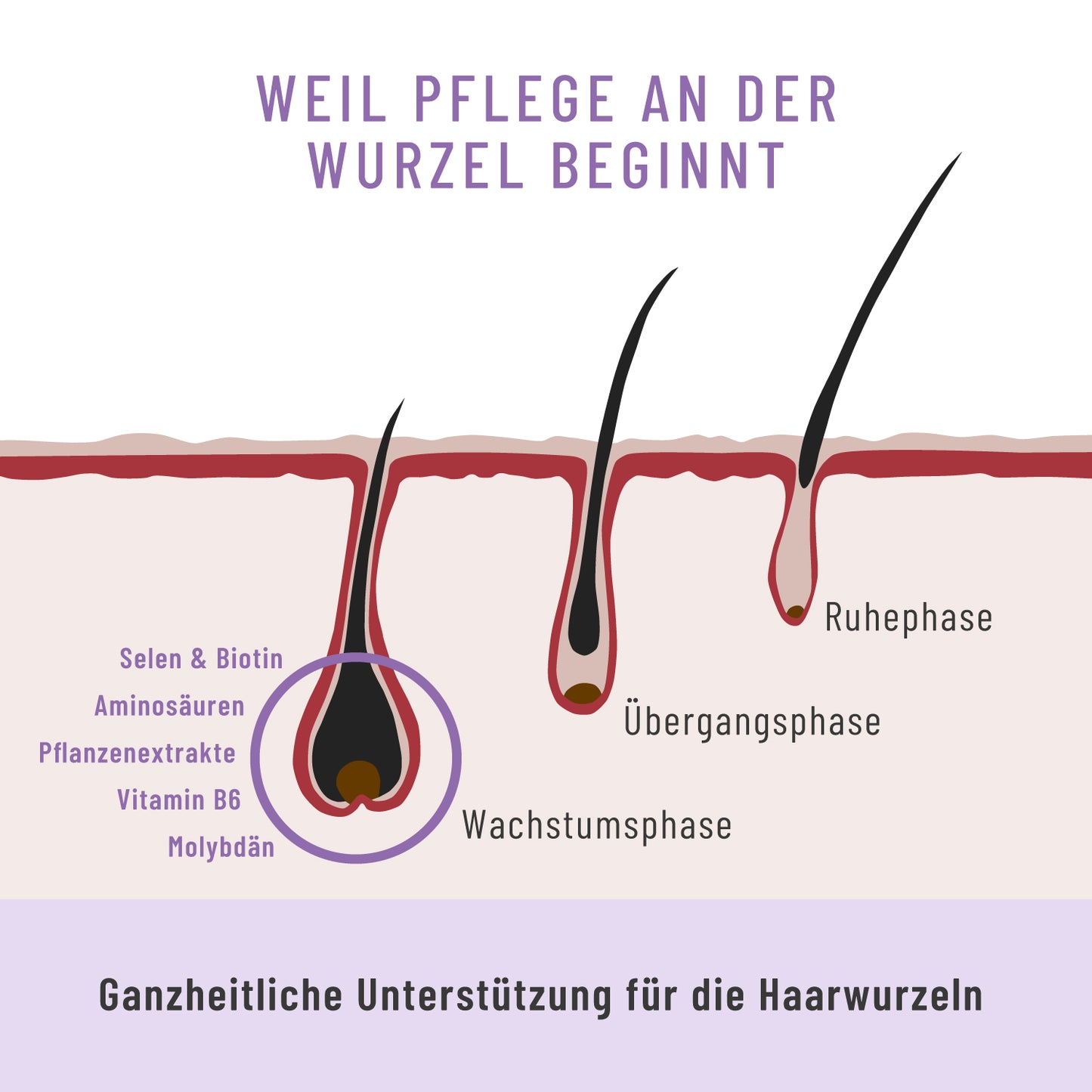 Rapunzelmaehne Haarwurzel-Komplex USP