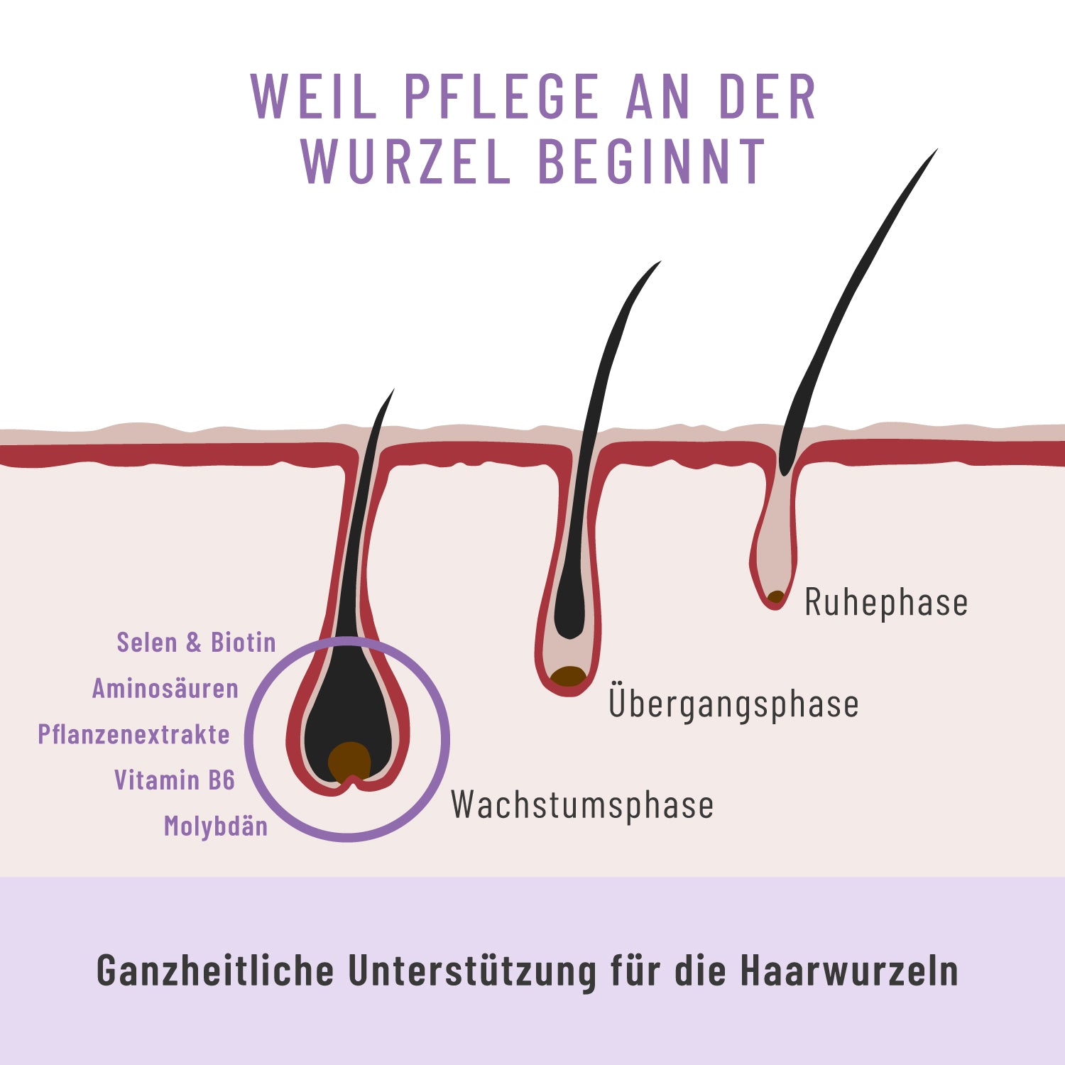 Rapunzelmaehne Haarwurzel-Komplex USP