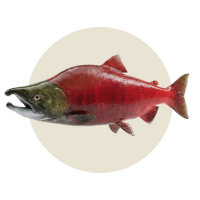 200 g Rotlachs (gegart)