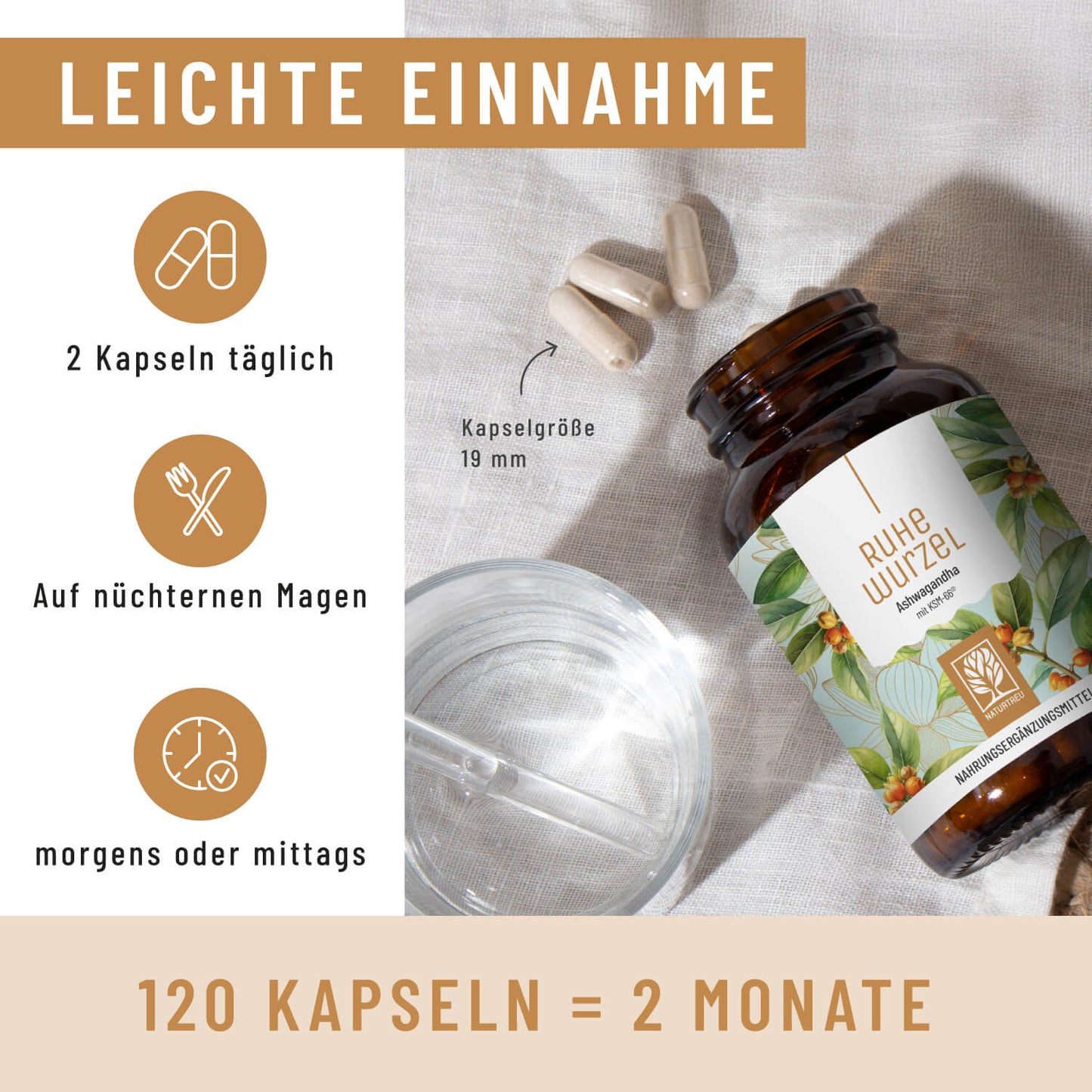 Ruhewurzel Ashwagandha mit KSM 66 Einnahme