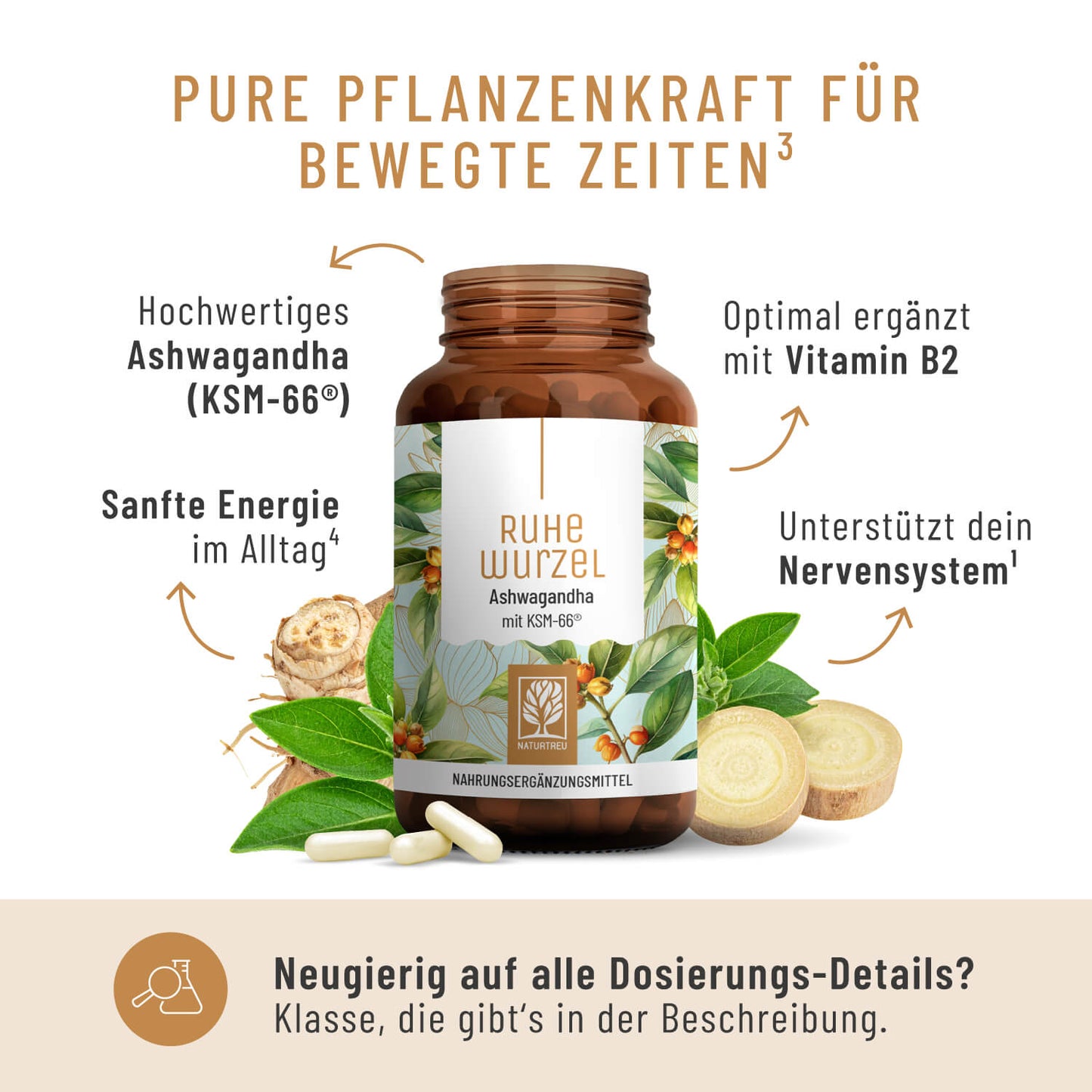 Ruhewurzel Ashwagandha mit KSM 66 Inhaltsstoffe