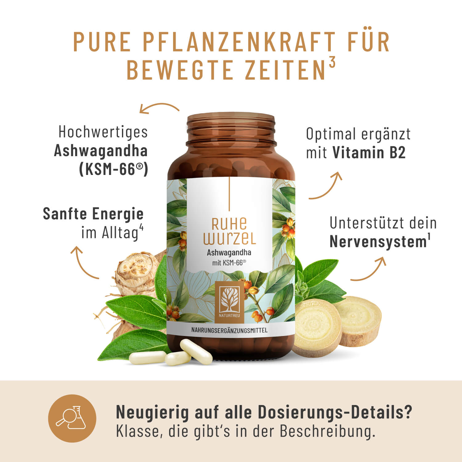 Ruhewurzel Ashwagandha mit KSM 66 Inhaltsstoffe