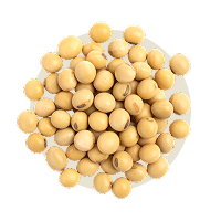 100 g Fermentierte Sojabohnen