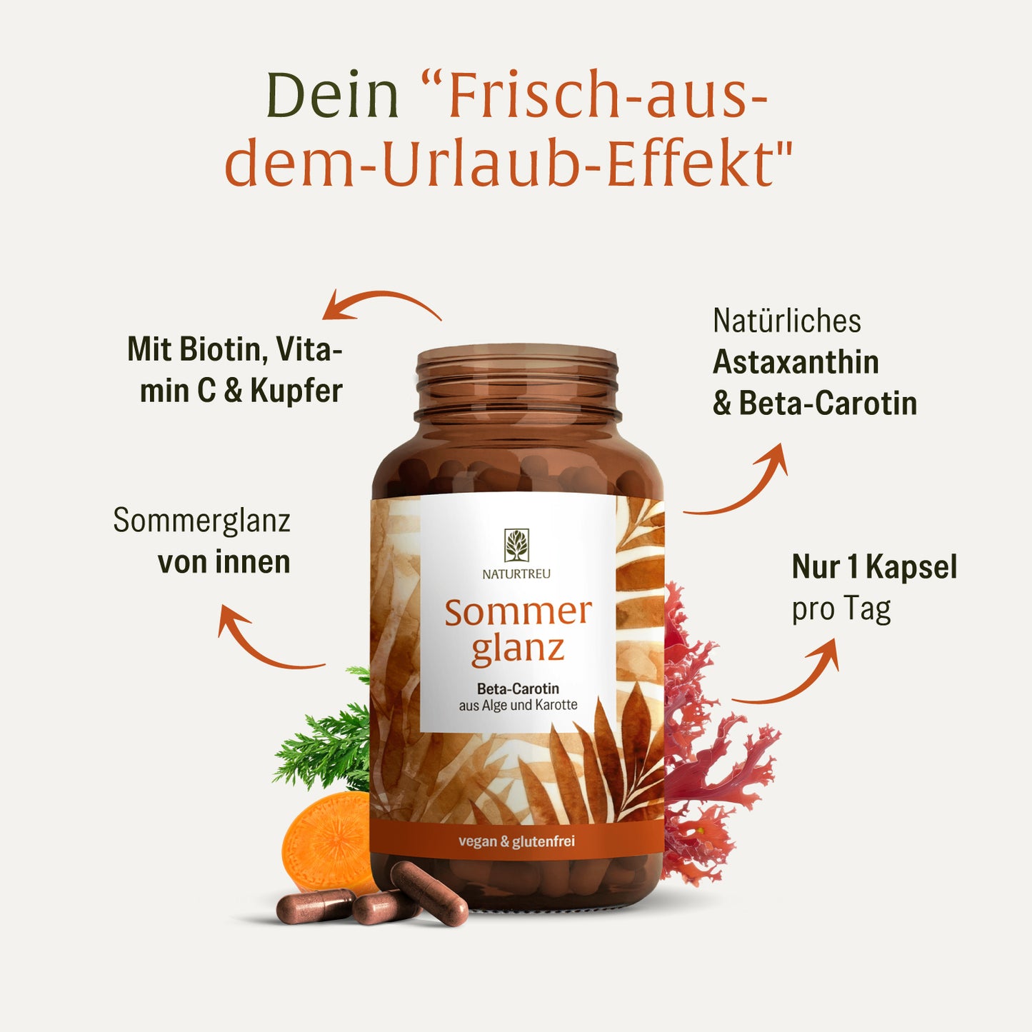 Sommerglanz Beta Carotin Onlineshop Inhaltsstoffe