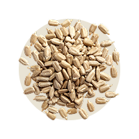 100 g Sonnenblumenkerne