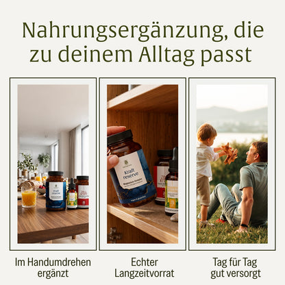 Sonnenkraft Sparpaket: Kraftreserve, Sonnenfreund, Zellkraft