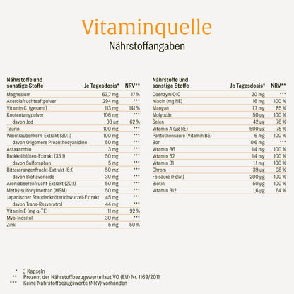 Vitaminquelle Multivitamin-Komplex Naehrstoffe