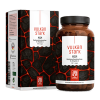 Vulkanstark Titelbild 