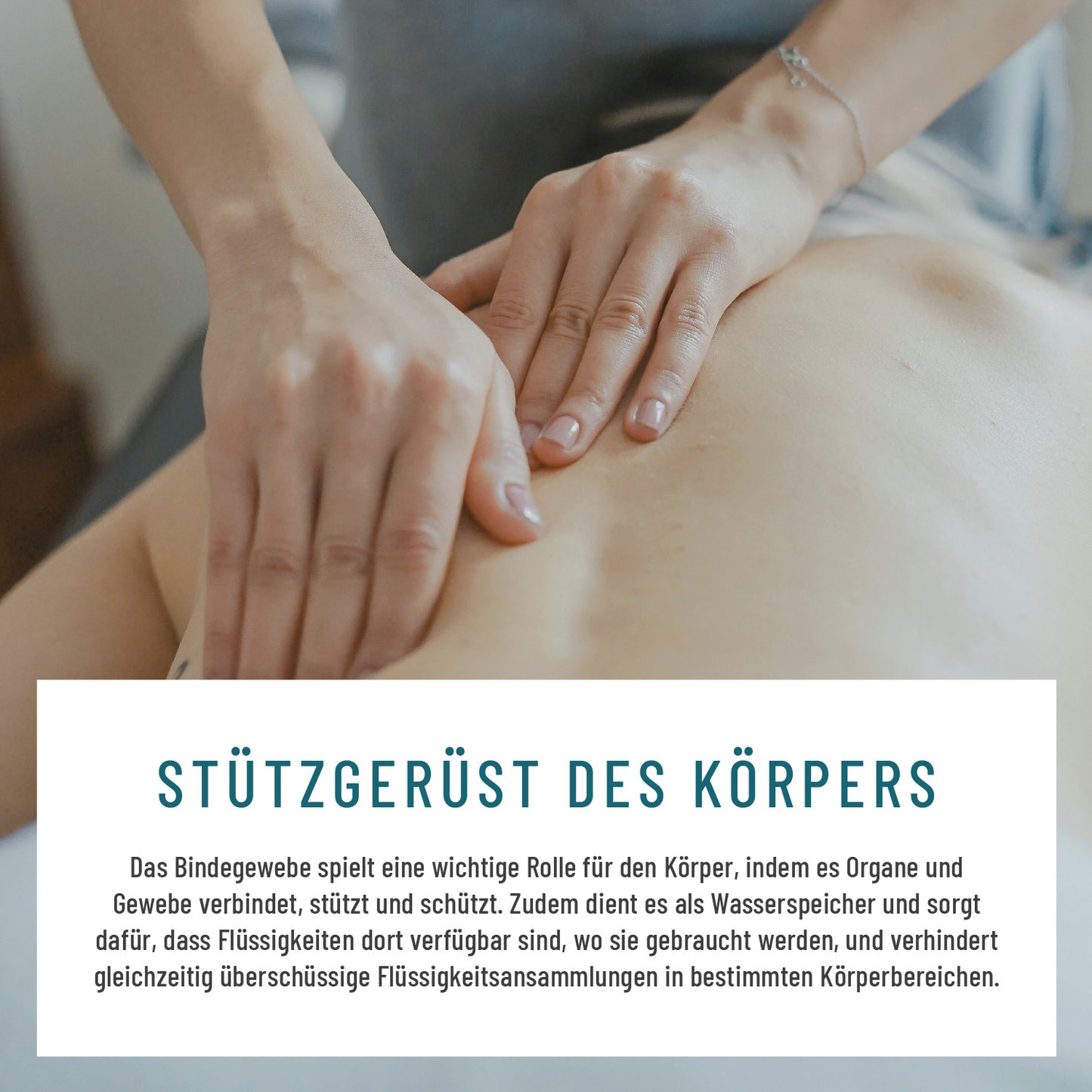 Das Bindegewebe als Wasserspeicher und Stützgerüst.