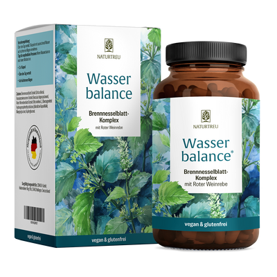 Wasserbalance